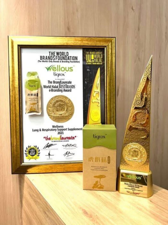 The BrandLaureate World Halal Best Brands e-Branding Award