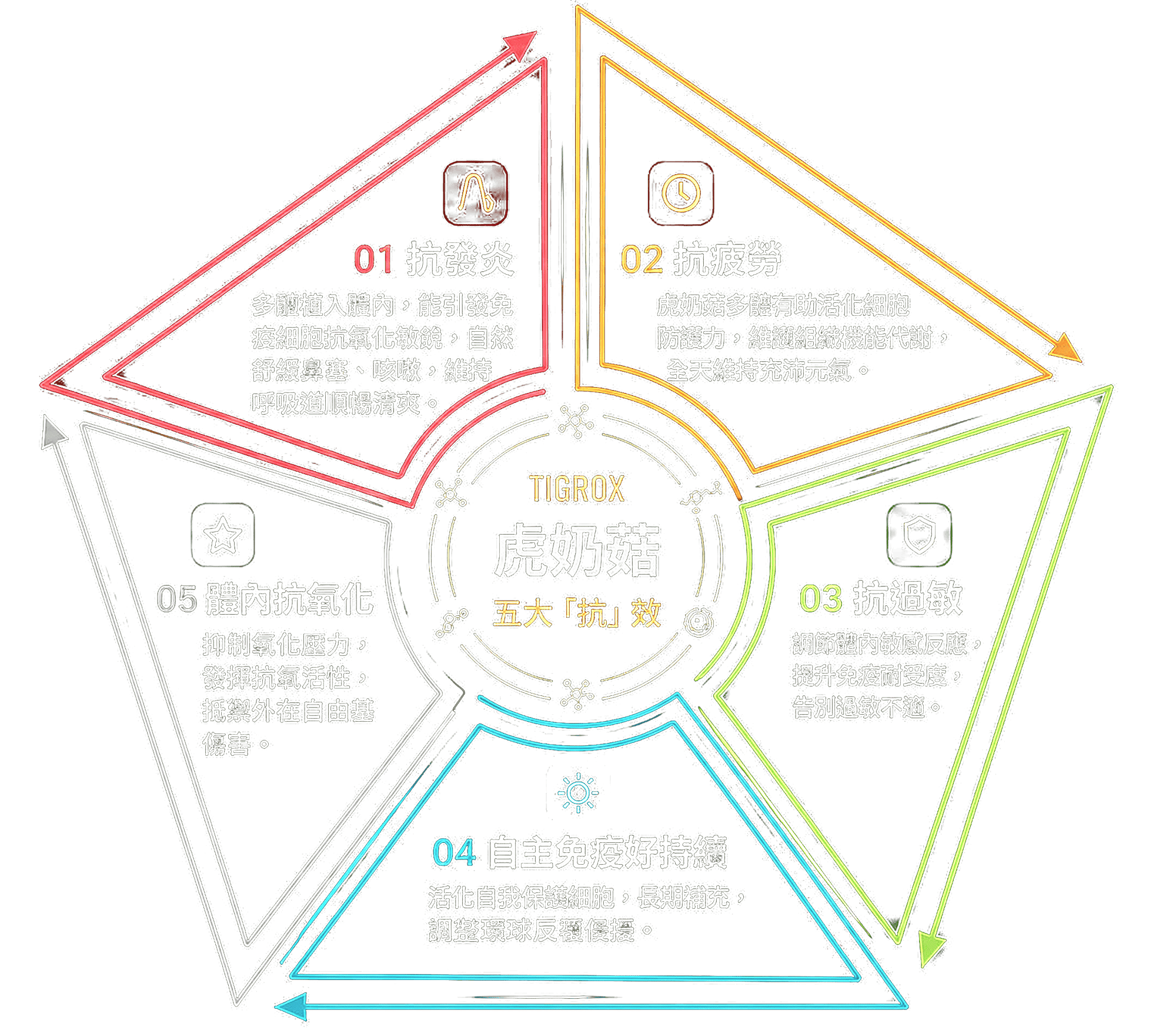 虎奶菇五大「抗」效：抗發炎、抗疲勞、抗過敏、自主免疫好持續、體內抗氧化